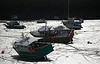 Marée basse (by JerryZz)